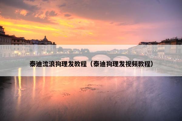 泰迪流浪狗理发教程（泰迪狗理发视频教程）