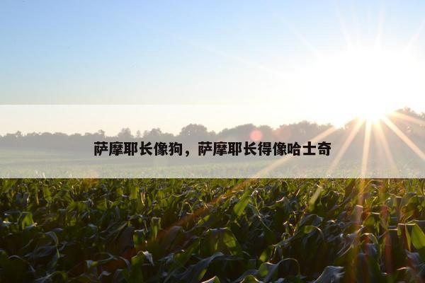 日本 第4页