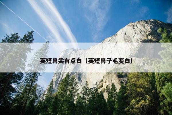 乳白 第2页