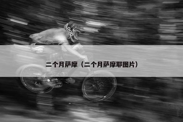 二个月萨摩（二个月萨摩耶图片）