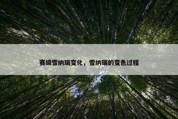 赛级雪纳瑞变化，雪纳瑞的变色过程