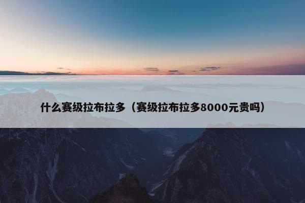 什么赛级拉布拉多（赛级拉布拉多8000元贵吗）