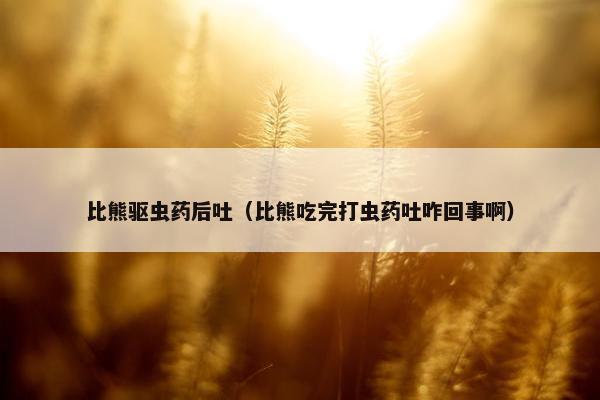 比熊驱虫药后吐（比熊吃完打虫药吐咋回事啊）