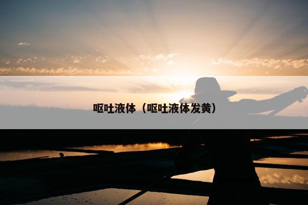 呕吐液体（呕吐液体发黄）