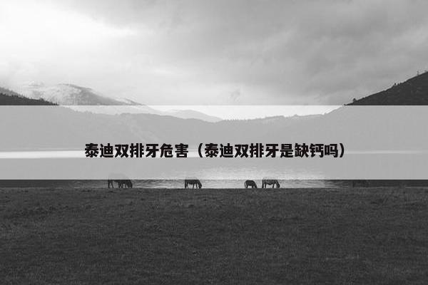 双排