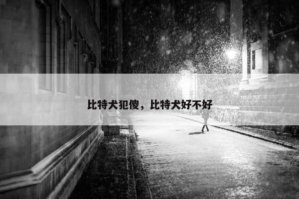 比特犬犯傻，比特犬好不好