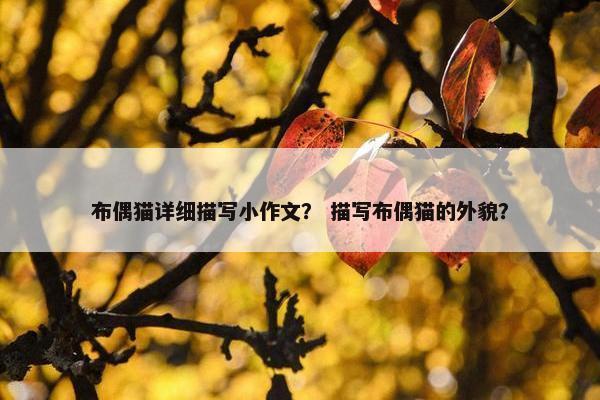 布偶猫详细描写小作文？ 描写布偶猫的外貌？