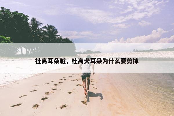 杜高耳朵脏，杜高犬耳朵为什么要剪掉