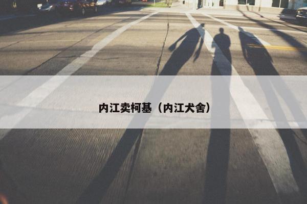 资中