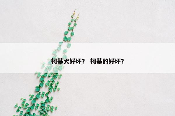 柯基犬好坏？ 柯基的好坏？