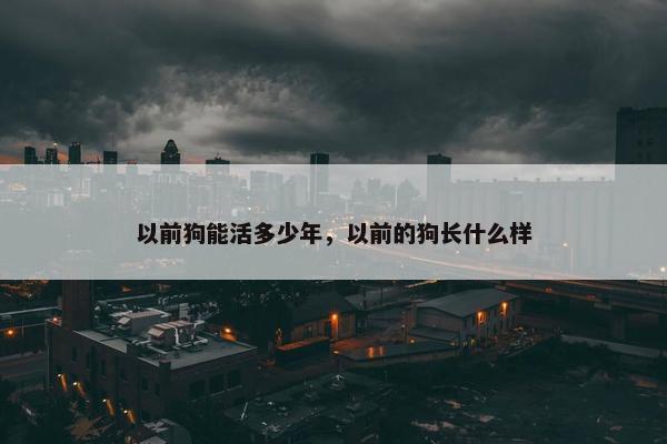 以前狗能活多少年，以前的狗长什么样