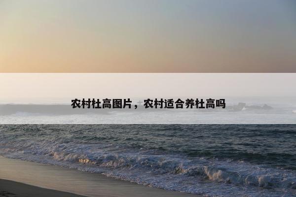 农村杜高图片，农村适合养杜高吗