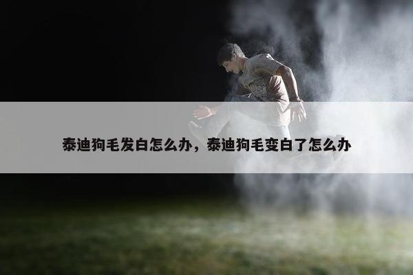 泰迪狗毛发白怎么办，泰迪狗毛变白了怎么办