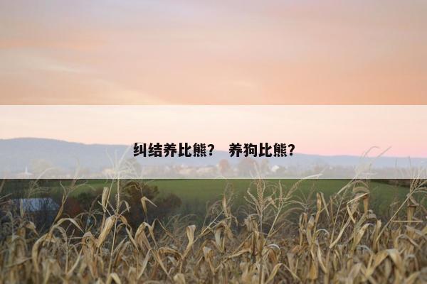 纠结养比熊？ 养狗比熊？