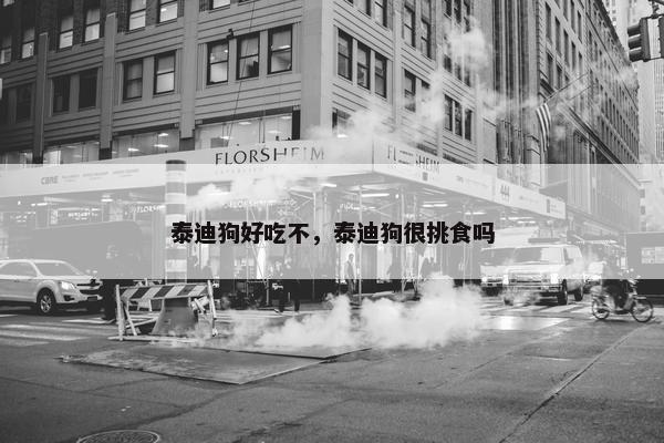 泰迪狗好吃不，泰迪狗很挑食吗