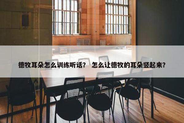德牧耳朵怎么训练听话？ 怎么让德牧的耳朵竖起来？