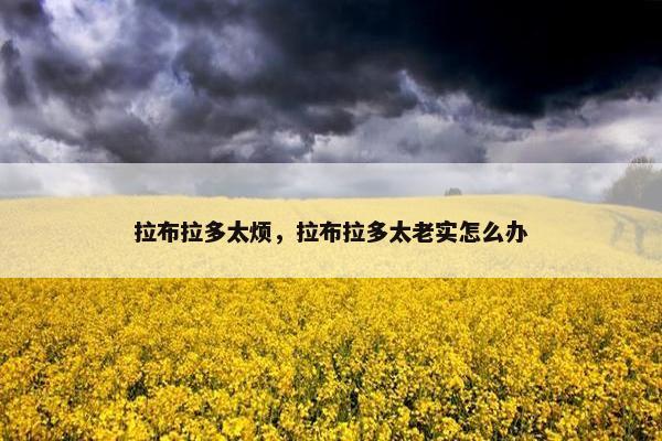 拉布拉多太烦，拉布拉多太老实怎么办