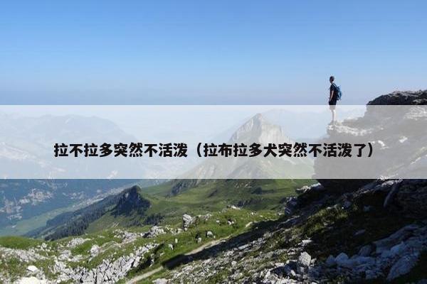 拉不拉多突然不活泼（拉布拉多犬突然不活泼了）
