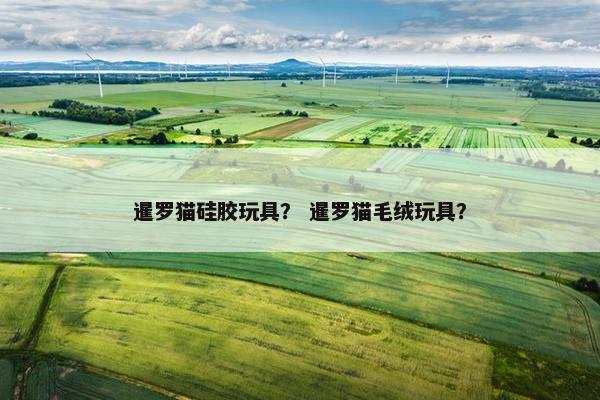暹罗猫硅胶玩具？ 暹罗猫毛绒玩具？