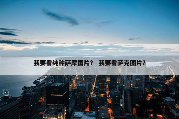 我要看纯种萨摩图片？ 我要看萨克图片？