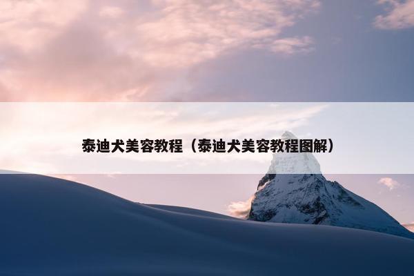 泰迪犬美容教程（泰迪犬美容教程图解）