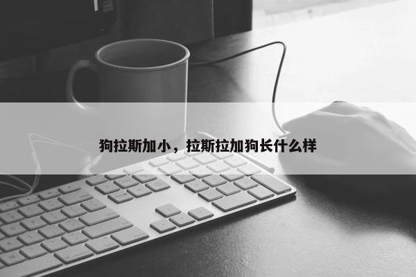 狗拉斯加小，拉斯拉加狗长什么样