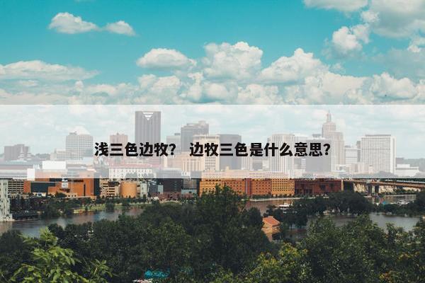 浅三色边牧？ 边牧三色是什么意思？