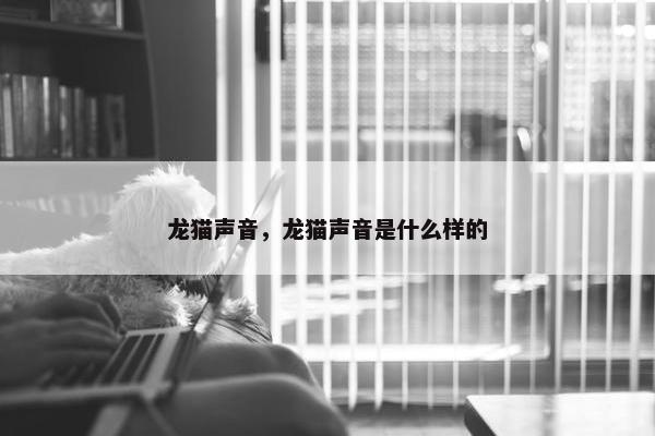 龙猫声音，龙猫声音是什么样的