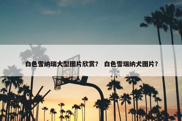 白色雪纳瑞大型图片欣赏？ 白色雪瑞纳犬图片？