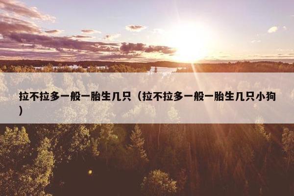 拉不拉多一般一胎生几只（拉不拉多一般一胎生几只小狗）