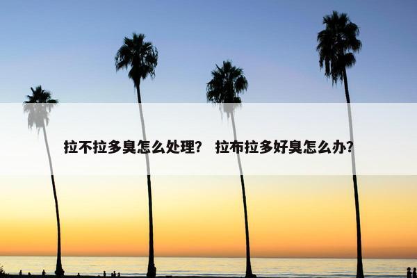 拉不拉多臭怎么处理？ 拉布拉多好臭怎么办？