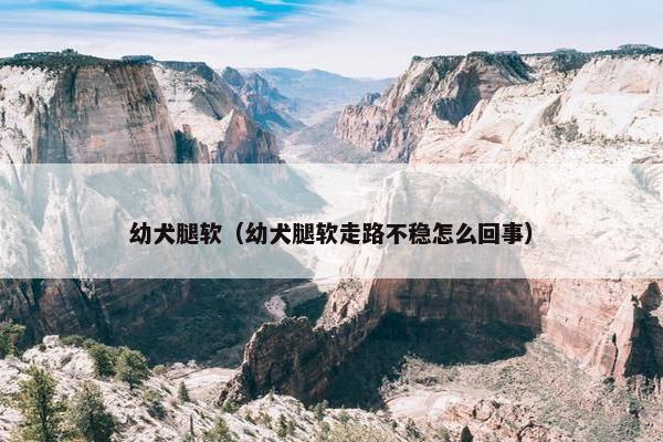 幼犬腿软（幼犬腿软走路不稳怎么回事）