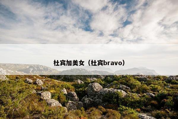 杜宾加美女（杜宾bravo）