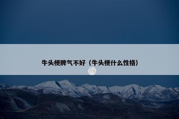 牛头梗脾气不好（牛头梗什么性格）
