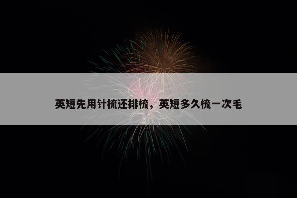 英短先用针梳还排梳，英短多久梳一次毛