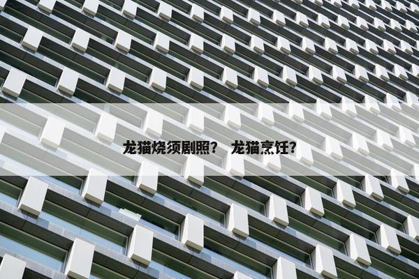 龙猫烧须剧照？ 龙猫烹饪？