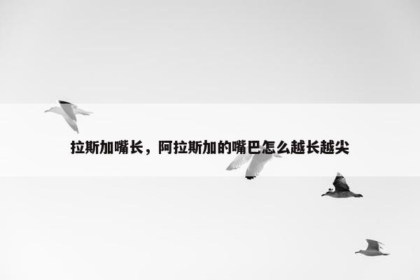 拉斯加嘴长，阿拉斯加的嘴巴怎么越长越尖