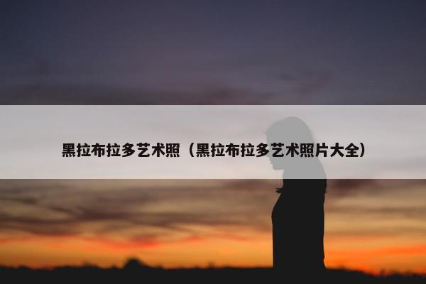 黑拉布拉多艺术照（黑拉布拉多艺术照片大全）
