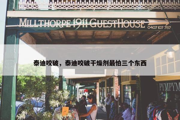泰迪咬破，泰迪咬破干燥剂最怕三个东西