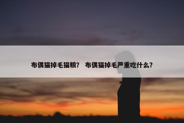 布偶猫 第12页