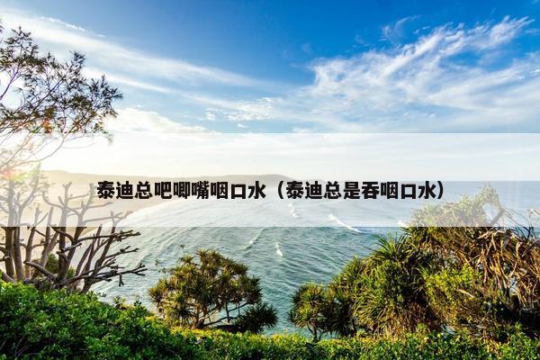 泰迪总吧唧嘴咽口水（泰迪总是吞咽口水）