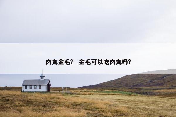 肉丸金毛？ 金毛可以吃肉丸吗？