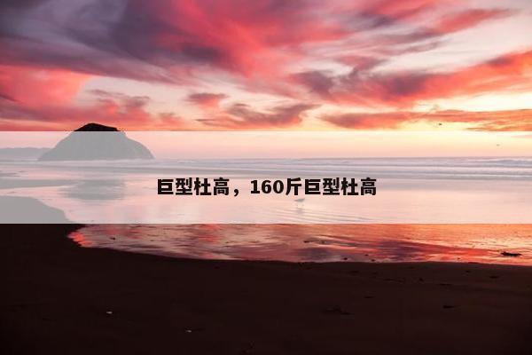 巨型杜高，160斤巨型杜高