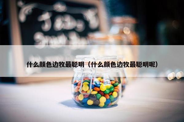 什么颜色边牧最聪明（什么颜色边牧最聪明呢）