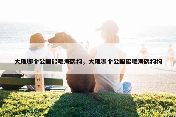 大理哪个公园能喂海鸥狗，大理哪个公园能喂海鸥狗狗