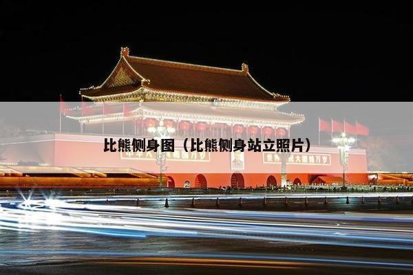 比熊侧身图（比熊侧身站立照片）