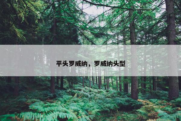 平头罗威纳，罗威纳头型