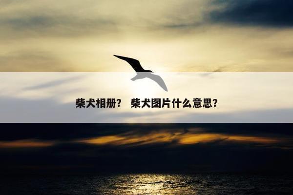 赛季