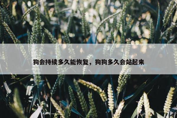 狗会持续多久能恢复，狗狗多久会站起来