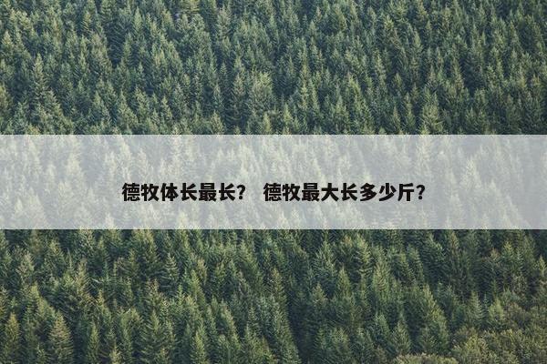 德牧体长最长？ 德牧最大长多少斤？